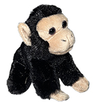 CHIMP K111